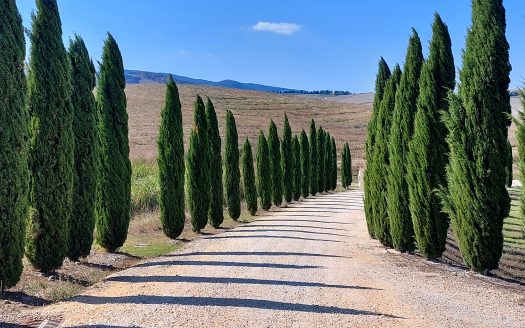 RIF. V 135  Splendida dimora con piscina e parco – Montecatini Val Di Cecina