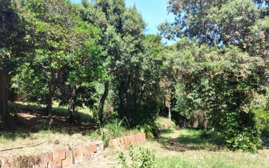 RIF. V 146 Lotto di terreno – Loc.tà Ghiaccioni